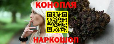 гидра Новозыбков