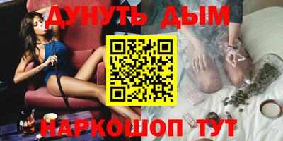 гидра Новозыбков