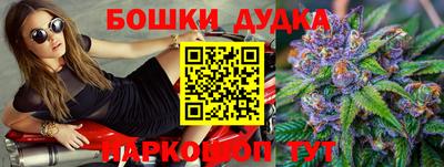 гидра Новозыбков