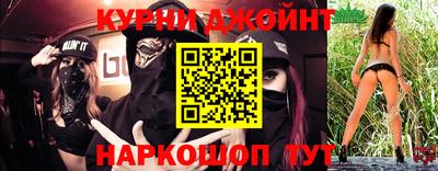гидра Новозыбков