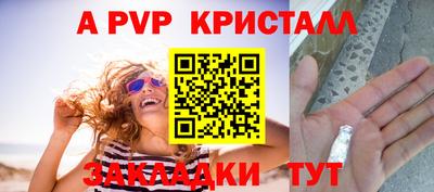 амф Новодвинск
