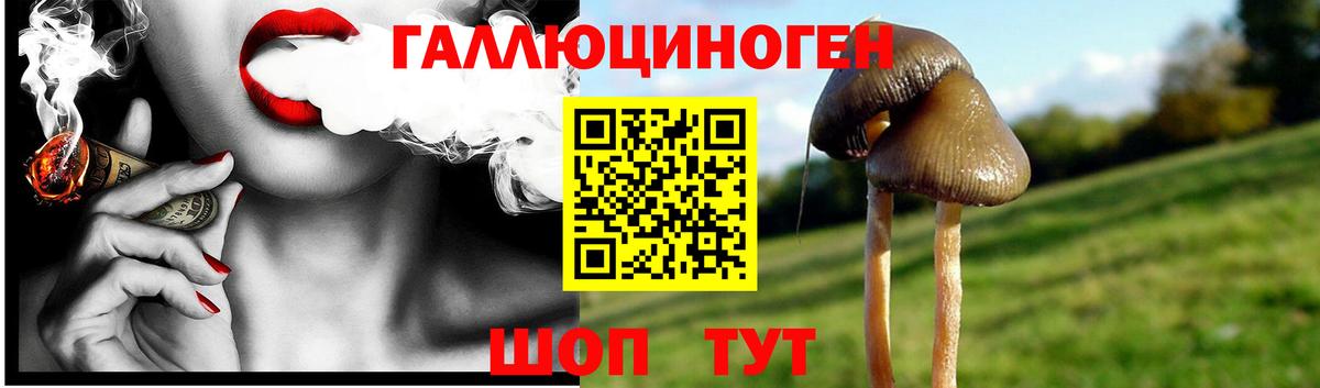Псилоцибиновые грибы мухоморы Родники