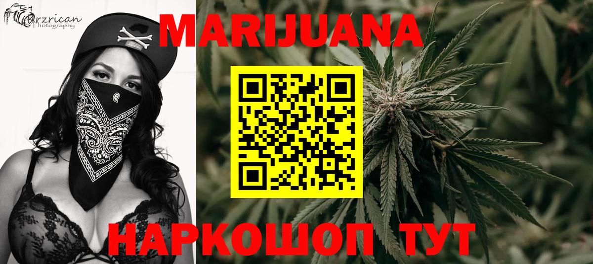 Каннабис OG Kush Родники